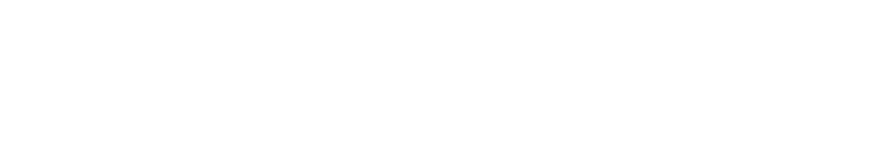 Primelight Logo